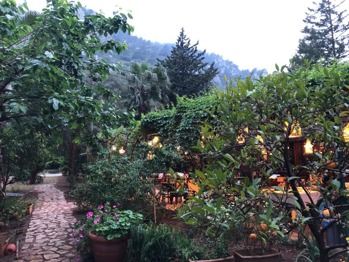 Kibala Hotel Çıralı Exteriér fotografie