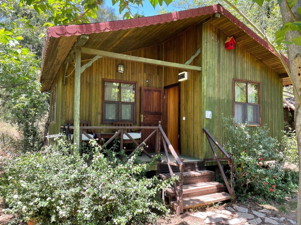 Kibala Hotel Çıralı Exteriér fotografie