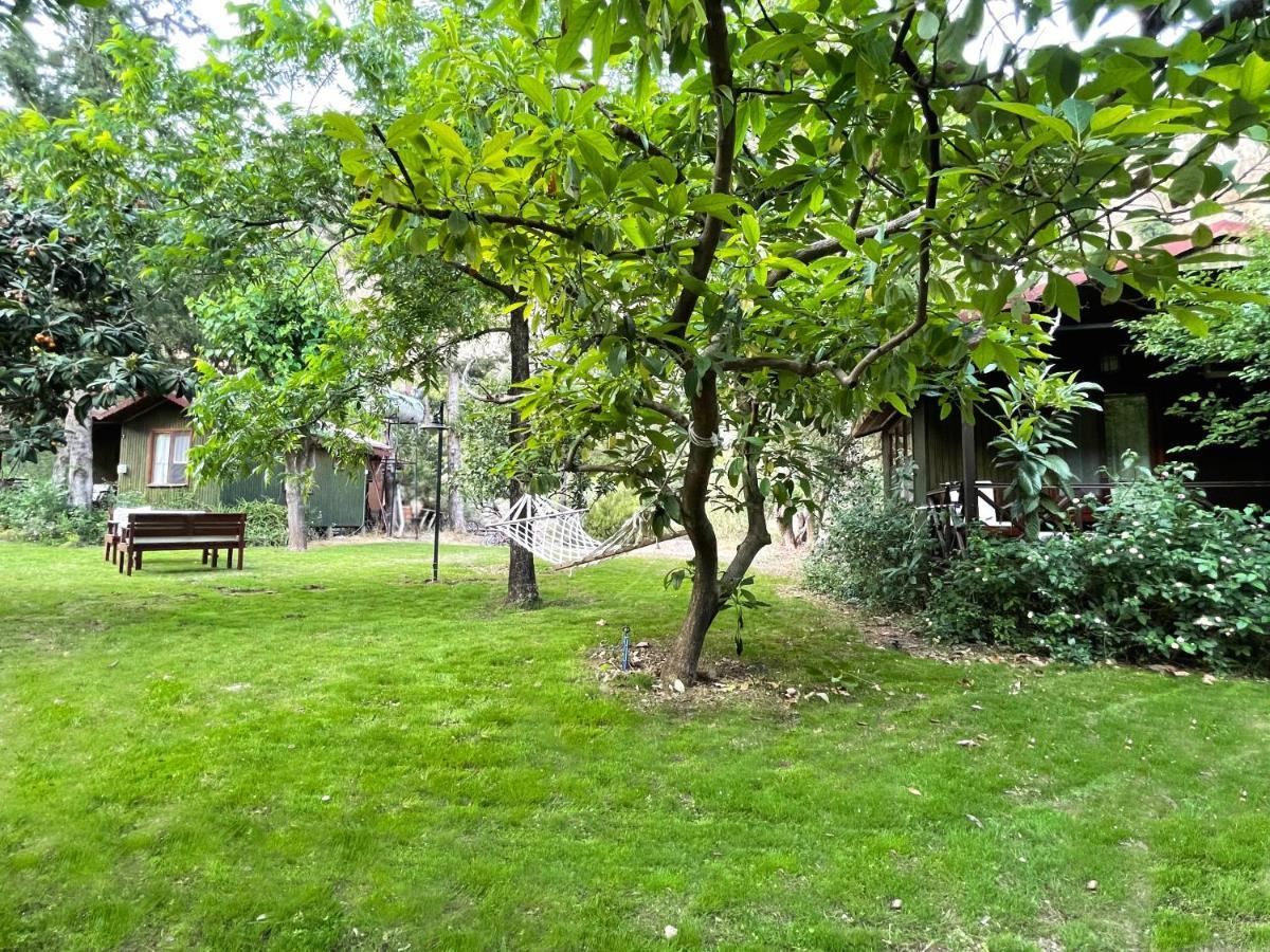 Kibala Hotel Çıralı Exteriér fotografie
