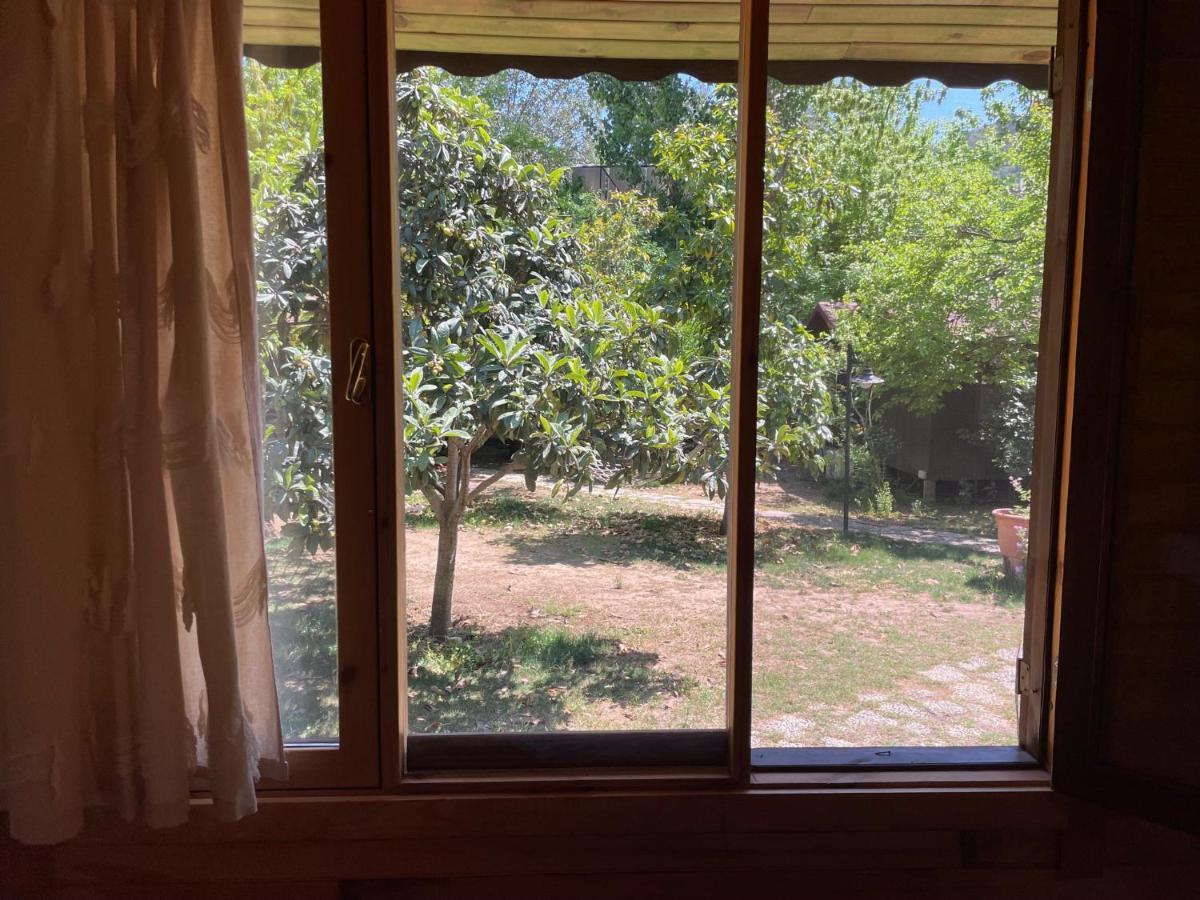 Kibala Hotel Çıralı Exteriér fotografie