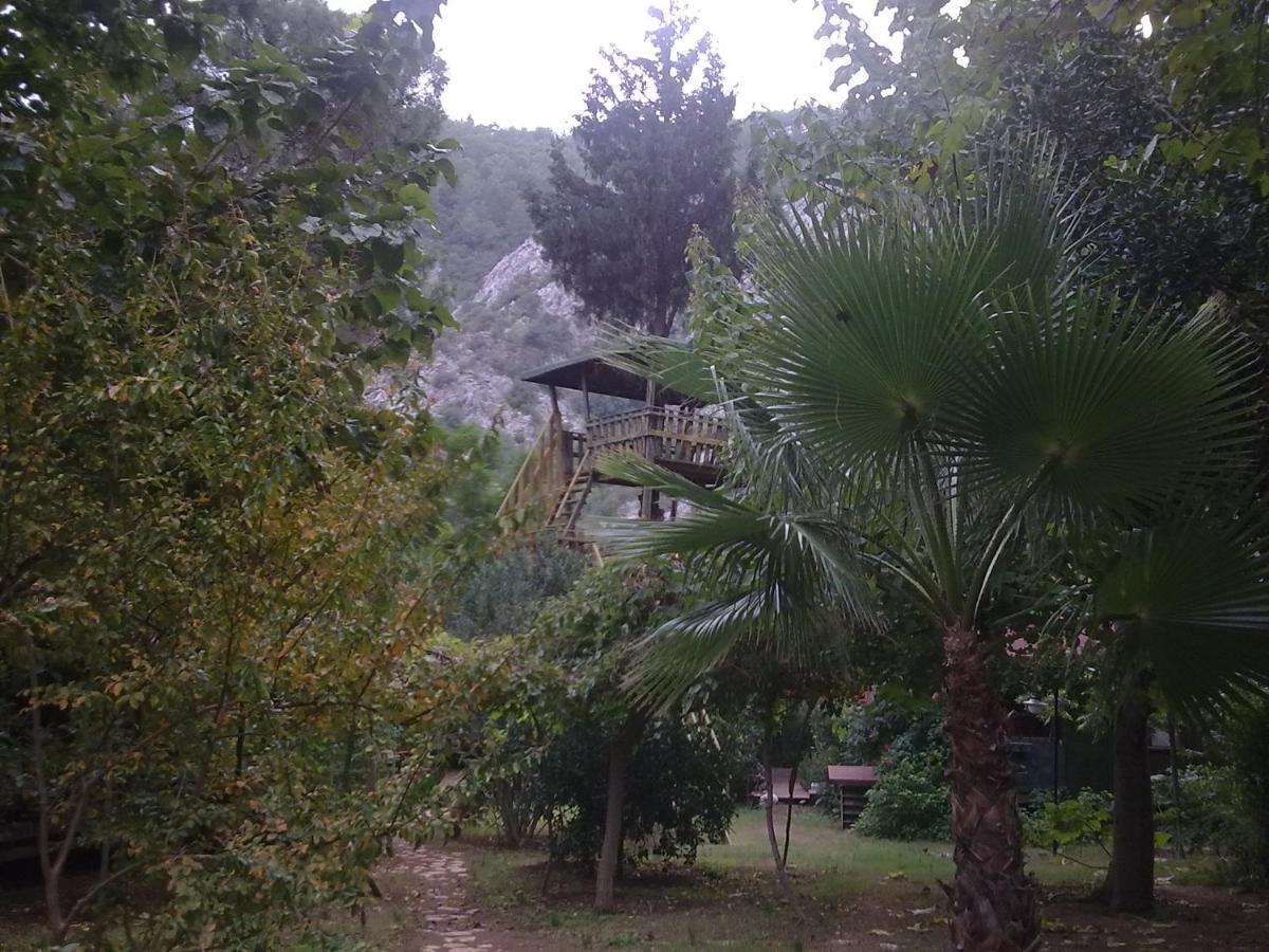 Kibala Hotel Çıralı Exteriér fotografie