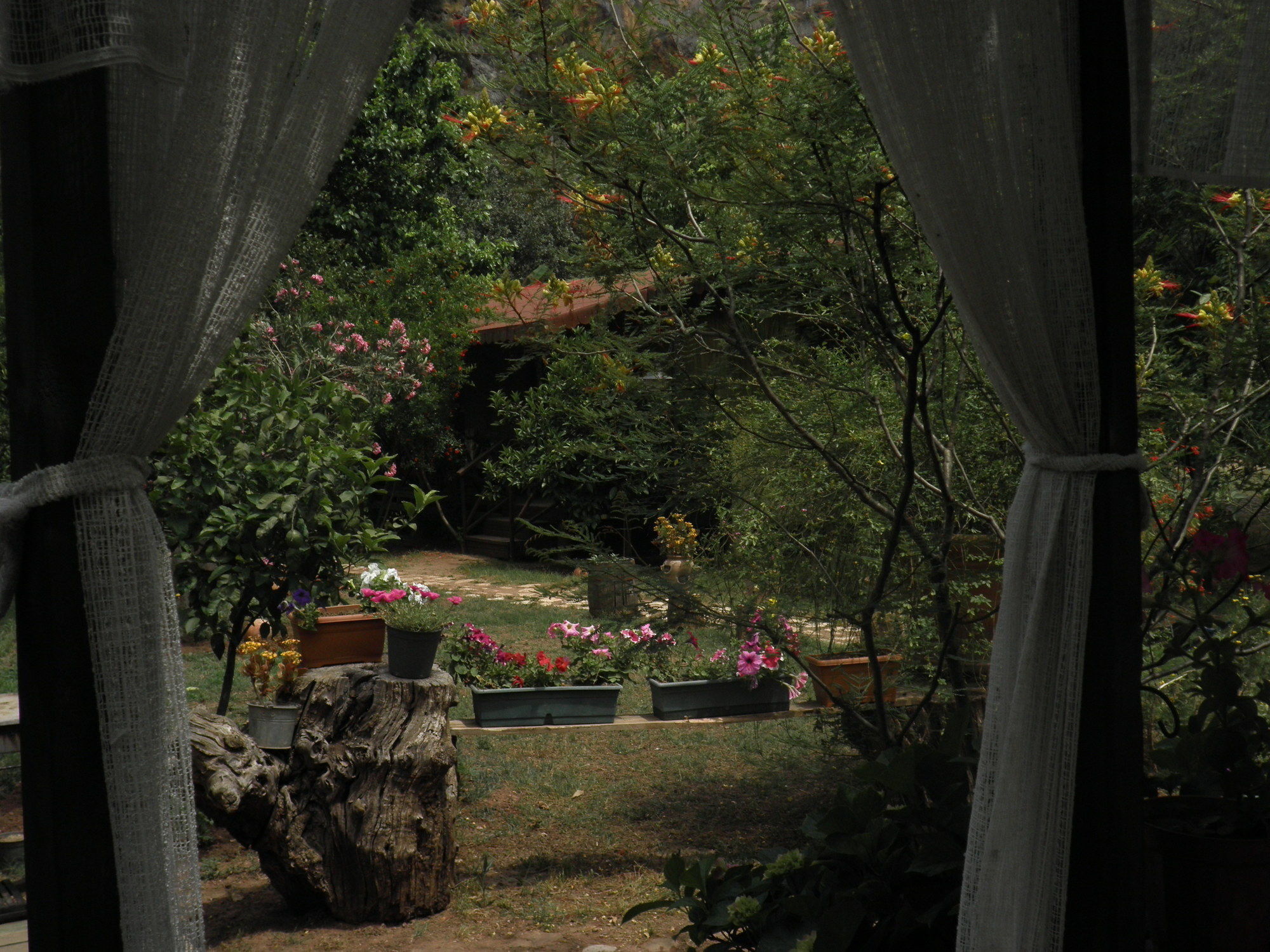 Kibala Hotel Çıralı Exteriér fotografie